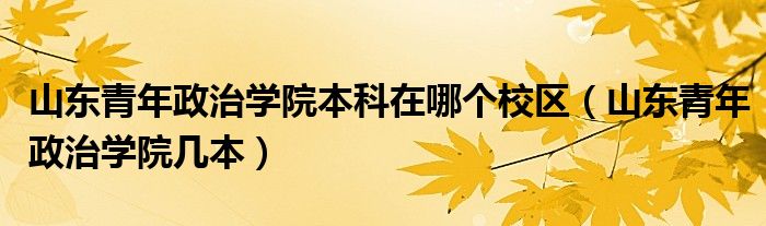 山东青年政治学院本科在哪个校区（山东青年政治学院几本）