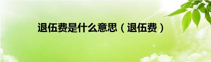 退伍费是什么意思（退伍费）