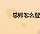 总账怎么登记图片（总账怎么登记）