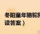 冬阳童年骆驼队题目解读（冬阳童年骆驼队阅读答案）
