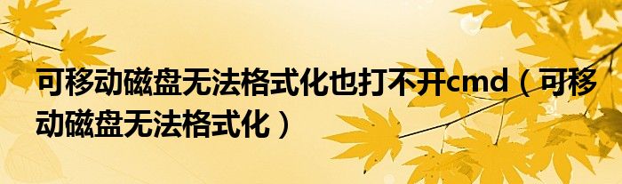 可移动磁盘无法格式化也打不开cmd（可移动磁盘无法格式化）