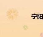 宁阳吧新闻（宁阳吧）