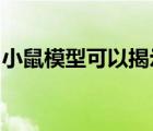 小鼠模型可以揭示免疫系统对寨卡病毒的反应