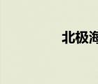 北极海冰屈服于大西洋化