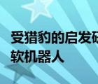 受猎豹的启发研究人员构建了迄今为止最快的软机器人
