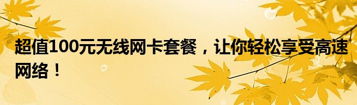 超值100元无线网卡套餐，让你轻松享受高速网络！
