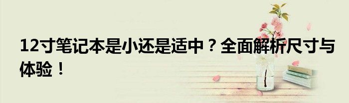 12寸笔记本是小还是适中？全面解析尺寸与体验！