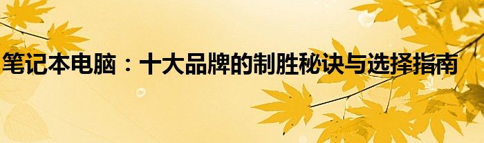 笔记本电脑：十大品牌的制胜秘诀与选择指南