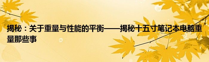揭秘：关于重量与性能的平衡——揭秘十五寸笔记本电脑重量那些事