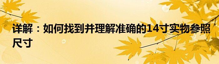 详解：如何找到并理解准确的14寸实物参照尺寸