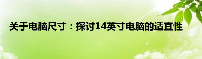 关于电脑尺寸：探讨14英寸电脑的适宜性