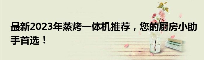 最新2023年蒸烤一体机推荐，您的厨房小助手首选！