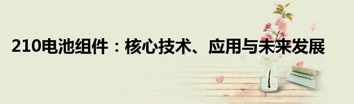 210电池组件：核心技术、应用与未来发展