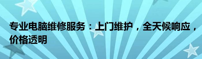 专业电脑维修服务：上门维护，全天候响应，价格透明