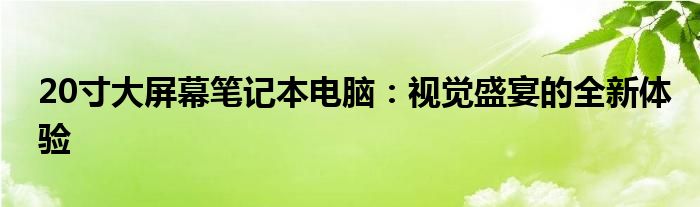 20寸大屏幕笔记本电脑：视觉盛宴的全新体验