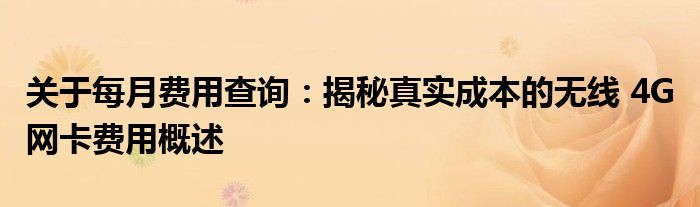 关于每月费用查询：揭秘真实成本的无线 4G 网卡费用概述