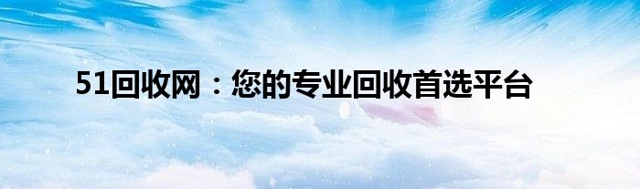 51回收网：您的专业回收首选平台