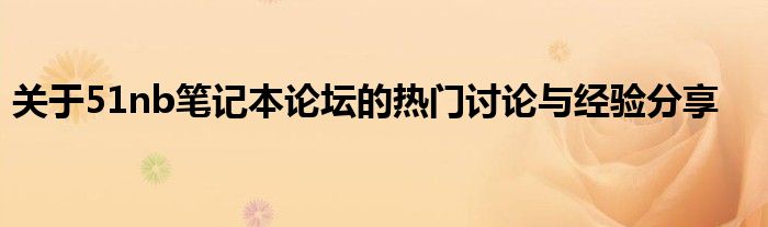 关于51nb笔记本论坛的热门讨论与经验分享