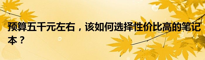 预算五千元左右，该如何选择性价比高的笔记本？