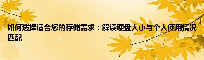 如何选择适合您的存储需求：解读硬盘大小与个人使用情况匹配