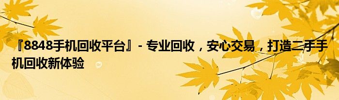 『8848手机回收平台』- 专业回收，安心交易，打造二手手机回收新体验