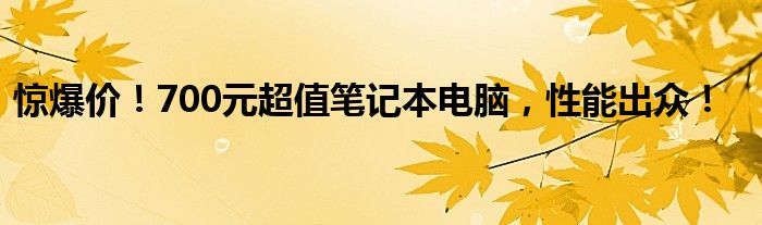 惊爆价！700元超值笔记本电脑，性能出众！