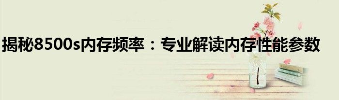 揭秘8500s内存频率：专业解读内存性能参数