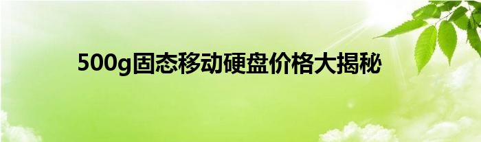 500g固态移动硬盘价格大揭秘