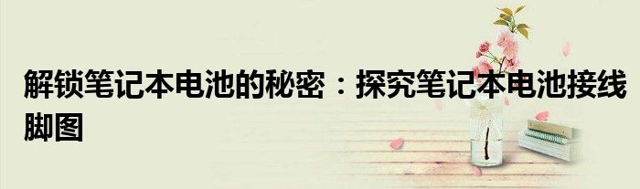 解锁笔记本电池的秘密：探究笔记本电池接线脚图