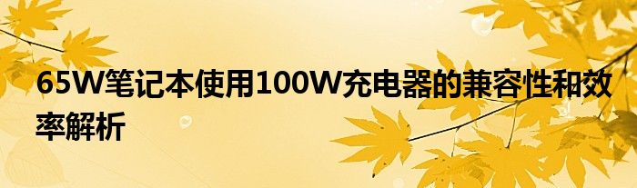 65W笔记本使用100W充电器的兼容性和效率解析