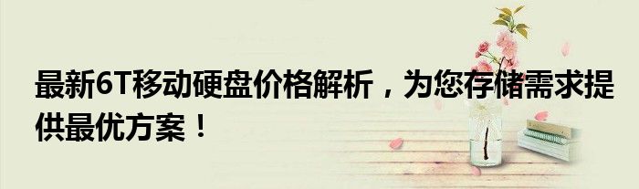 最新6T移动硬盘价格解析，为您存储需求提供最优方案！