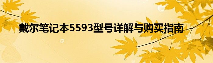 戴尔笔记本5593型号详解与购买指南