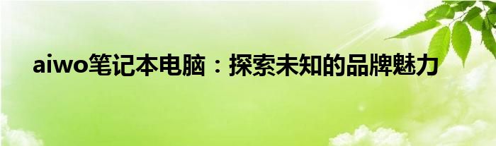 aiwo笔记本电脑：探索未知的品牌魅力