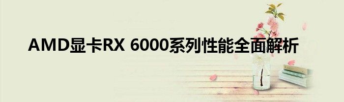 AMD显卡RX 6000系列性能全面解析