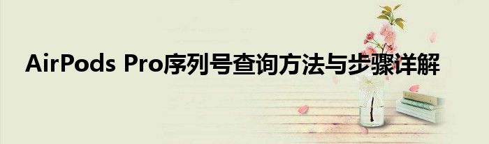 AirPods Pro序列号查询方法与步骤详解