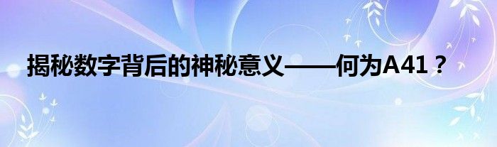 揭秘数字背后的神秘意义——何为A41？