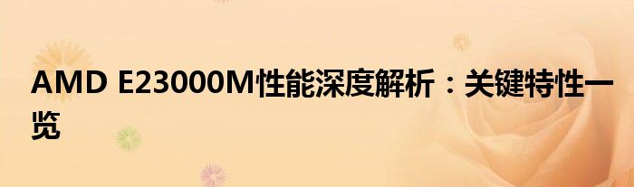 AMD E23000M性能深度解析：关键特性一览