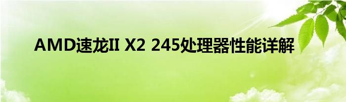 AMD速龙II X2 245处理器性能详解