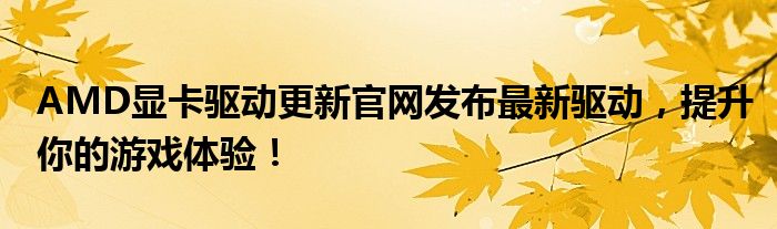 AMD显卡驱动更新官网发布最新驱动，提升你的游戏体验！