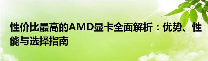 性价比最高的AMD显卡全面解析：优势、性能与选择指南