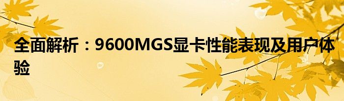 全面解析：9600MGS显卡性能表现及用户体验