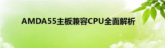 AMDA55主板兼容CPU全面解析