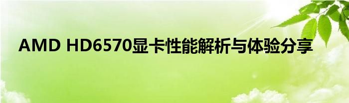 AMD HD6570显卡性能解析与体验分享