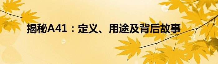 揭秘A41：定义、用途及背后故事
