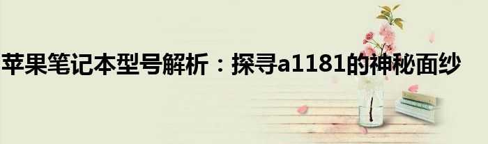 苹果笔记本型号解析：探寻a1181的神秘面纱