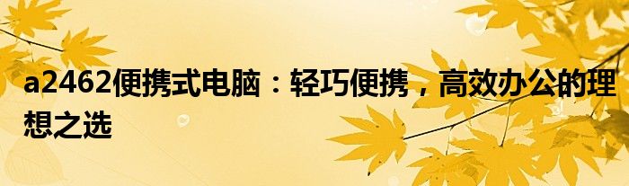 a2462便携式电脑：轻巧便携，高效办公的理想之选