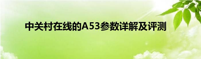 中关村在线的A53参数详解及评测