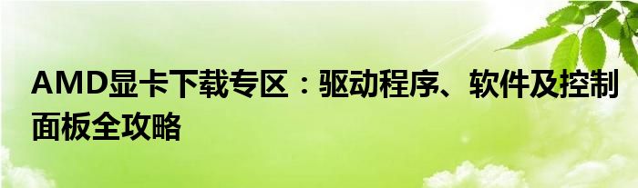 AMD显卡下载专区：驱动程序、软件及控制面板全攻略