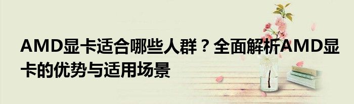 AMD显卡适合哪些人群？全面解析AMD显卡的优势与适用场景
