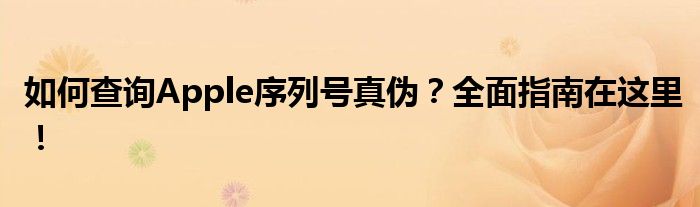 如何查询Apple序列号真伪？全面指南在这里！